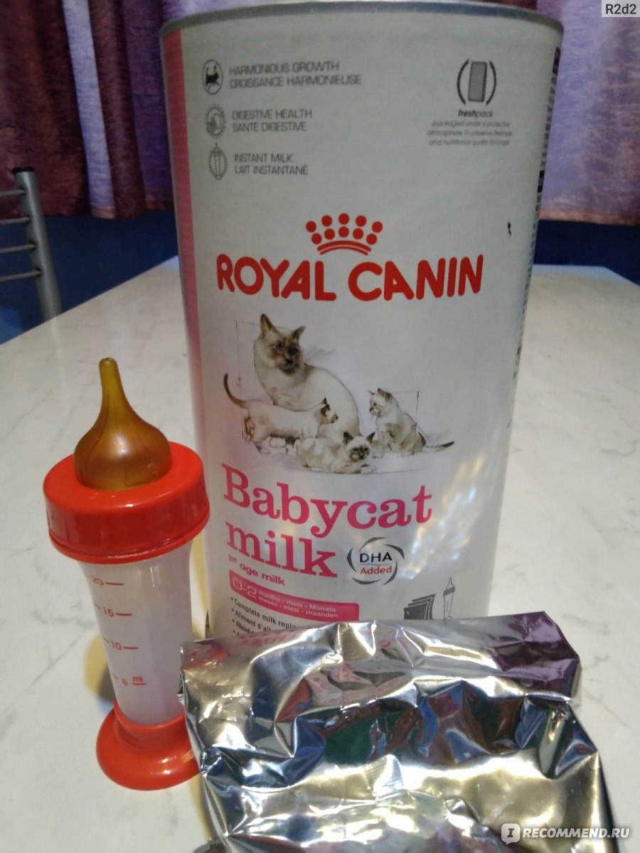 Заменитель кошачьего молока Royal Canin Babycat Milk - «Маша и Плюша выжили  только благодаря молоку Royal!» | отзывы