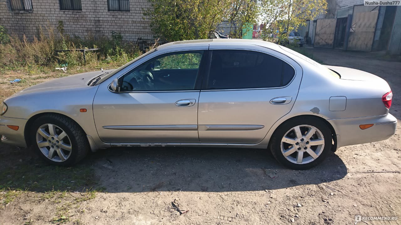 Nissan Maxima - 2003 - «Мой надёжный друг.Все за и против в отзыве.» |  отзывы