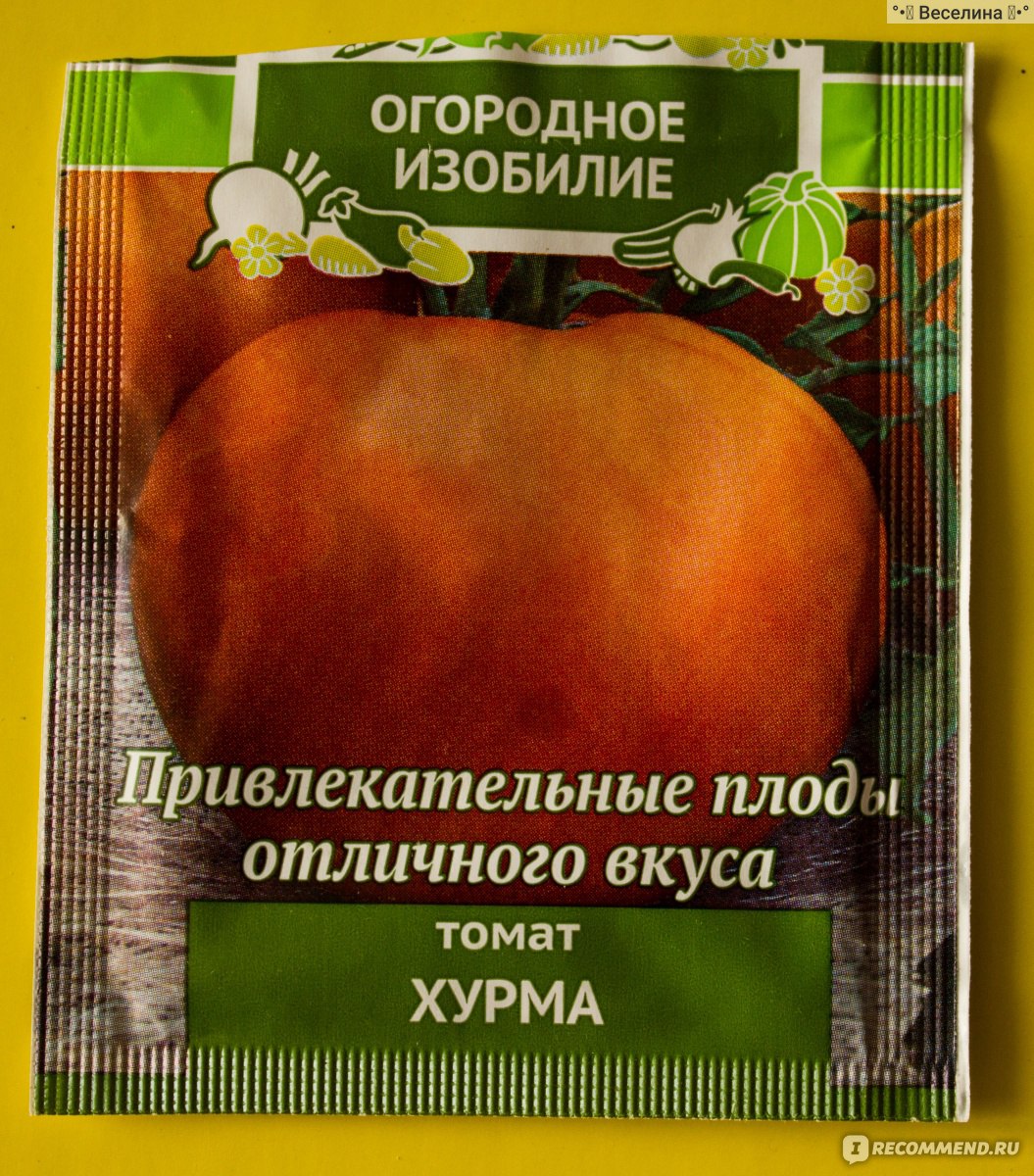 Семена томат хурма Гавриш