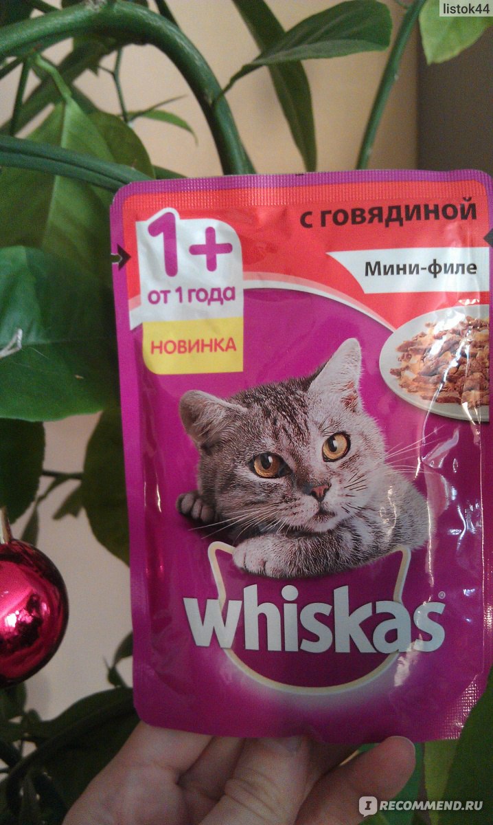 Корм для кошек Whiskas Мини-филе с говядиной - «А ваша киска купила бы  Вискас? Часть 3. Да, и сказала спасибо!» | отзывы