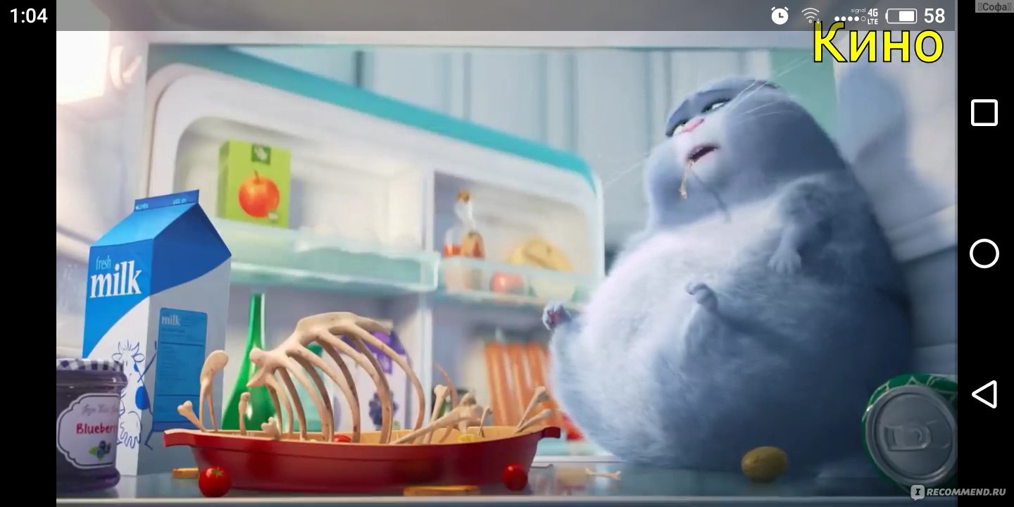 Тайная жизнь домашних животных / The secret life of pets - «?Ваша собака/  кот/ енот/ попугай спит, пока Вас нет дома? ХА-ХА! Их жизнь слишком весела,  разнообразна и наполнена приключениями, чтобы просто