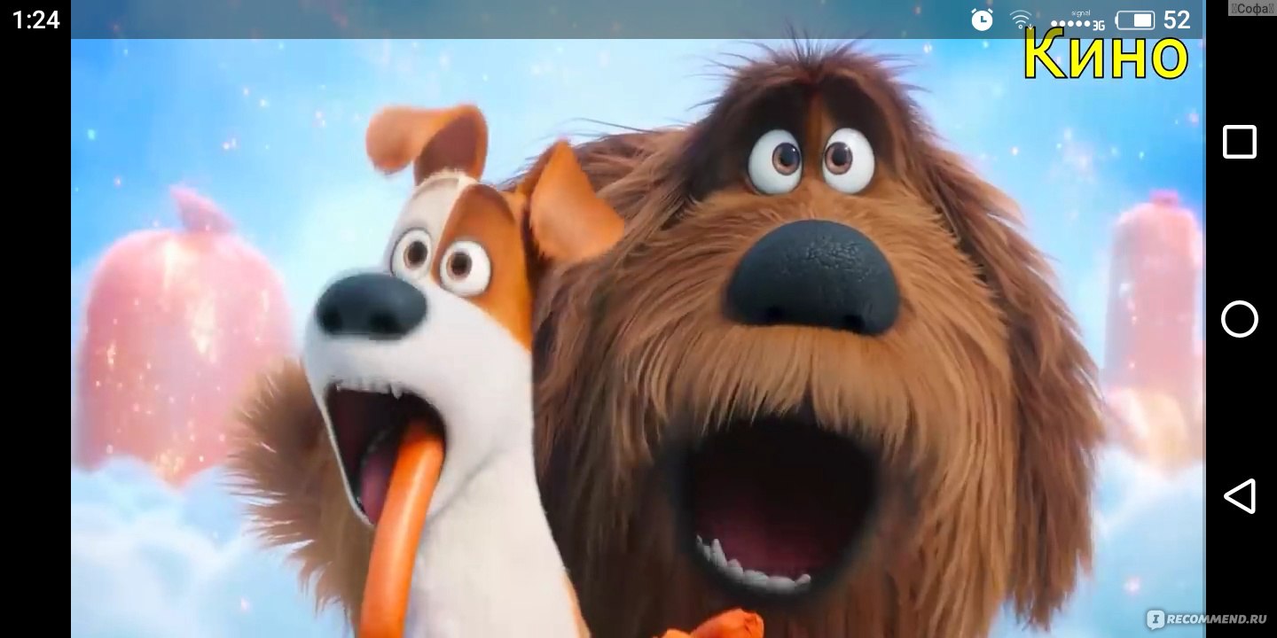 Тайная жизнь домашних животных / The secret life of pets - «?Ваша собака/  кот/ енот/ попугай спит, пока Вас нет дома? ХА-ХА! Их жизнь слишком весела,  разнообразна и наполнена приключениями, чтобы просто