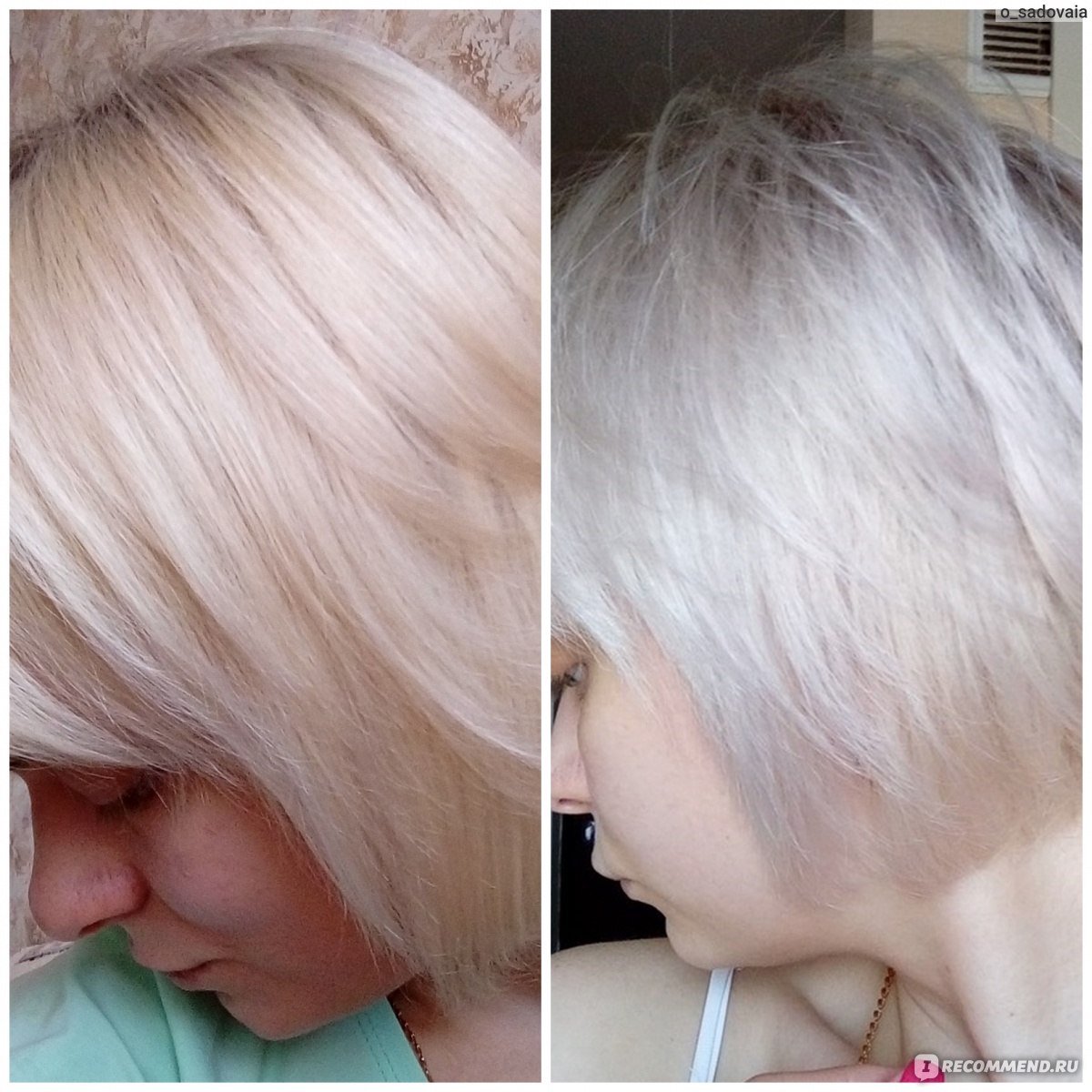 Арктический блонд фото до и после concept