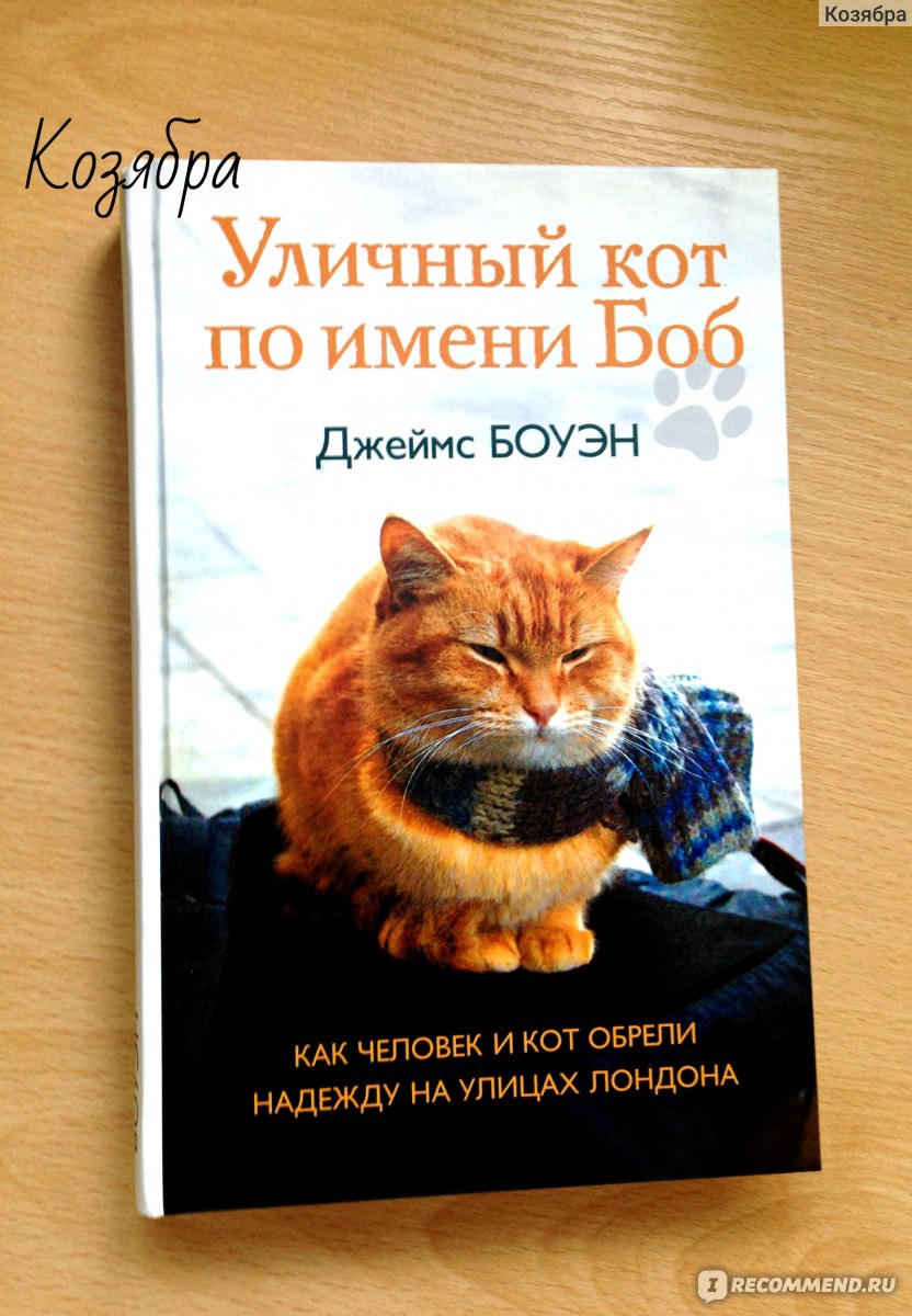 Уличный кот по имени Боб. Джеймс Боуэн - «Рыжие коты приносят счастье! Не  верите? Тогда приглашаю Вас в этот отзыв)» | отзывы