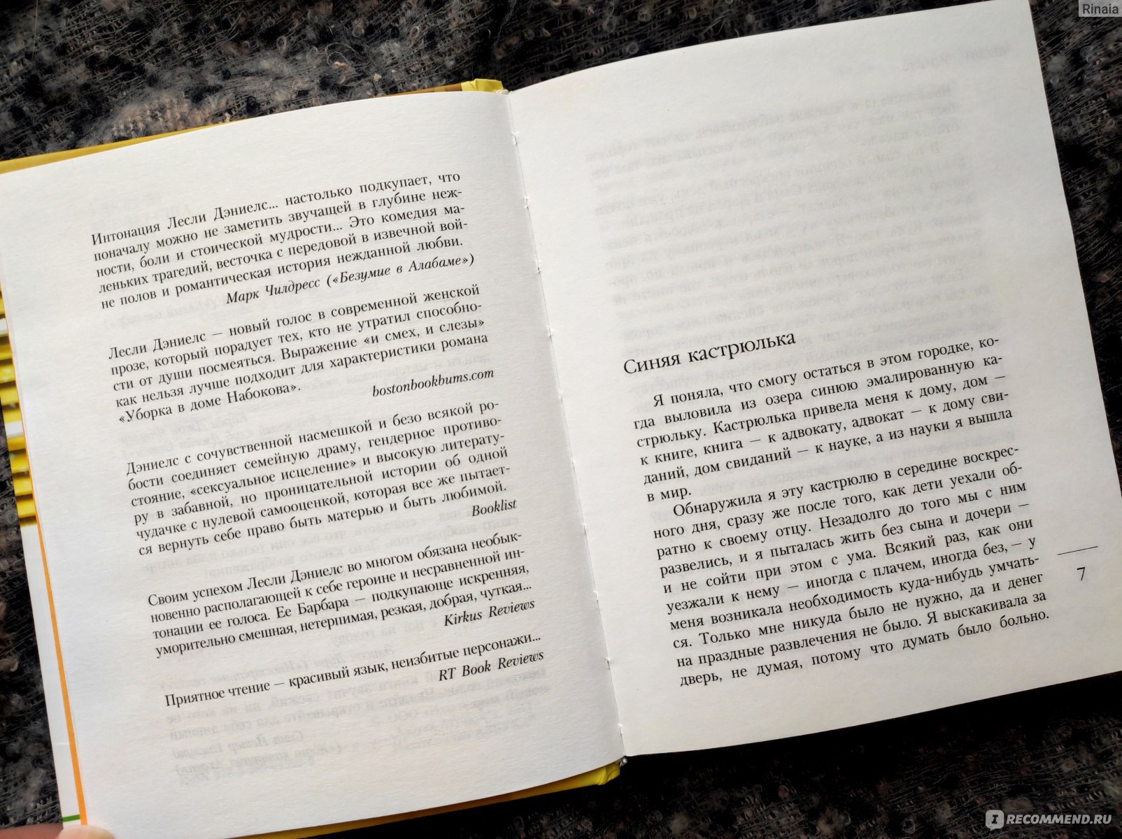 Уборка в доме Набокова. Лесли Дэниелс - «Я очарована и разочарована  дебютным романом Лесли Дэниэлс с неверным, на мой взгляд, названием 