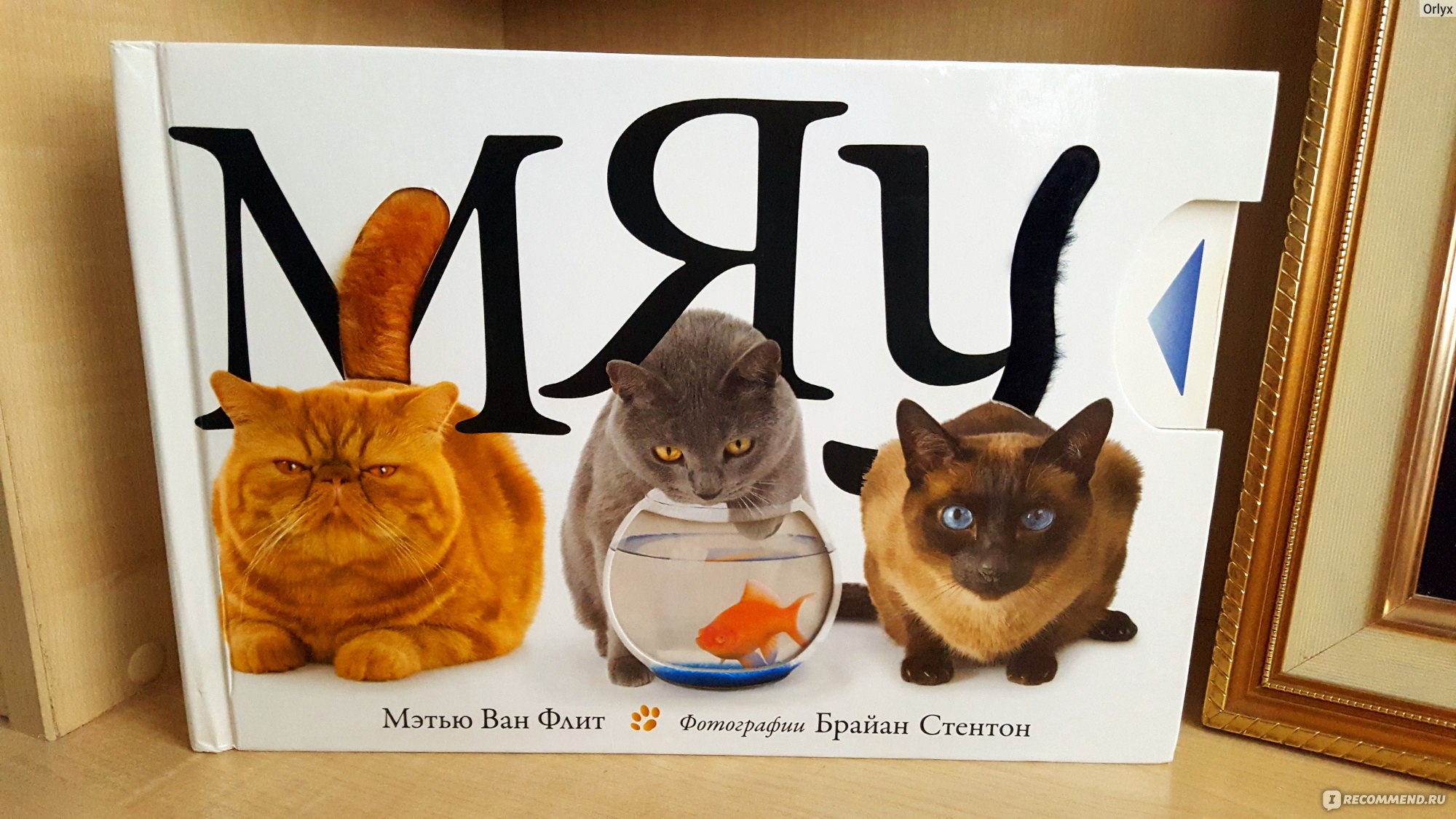 Книги про кошек