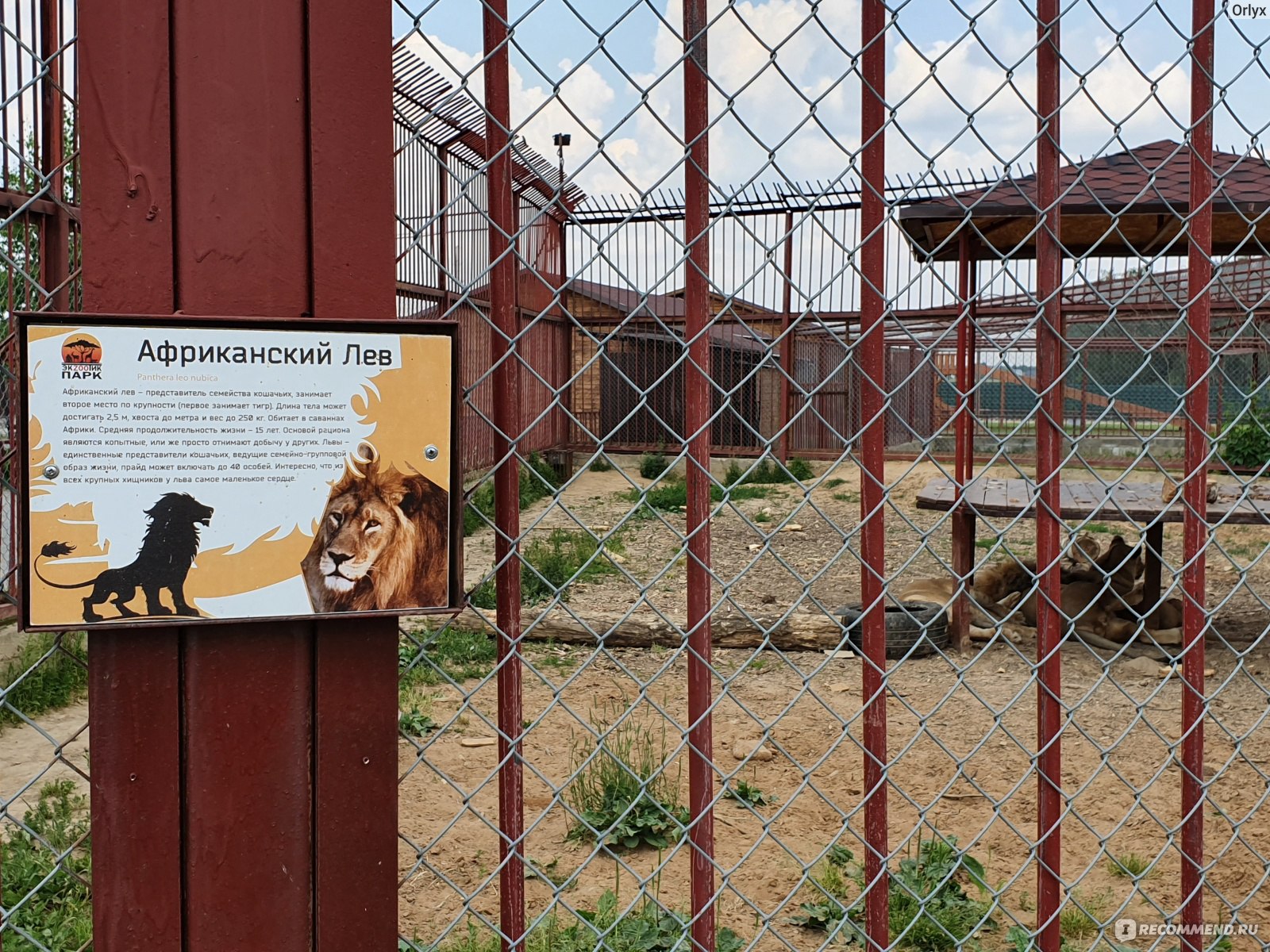 зоопарк на жукова омск