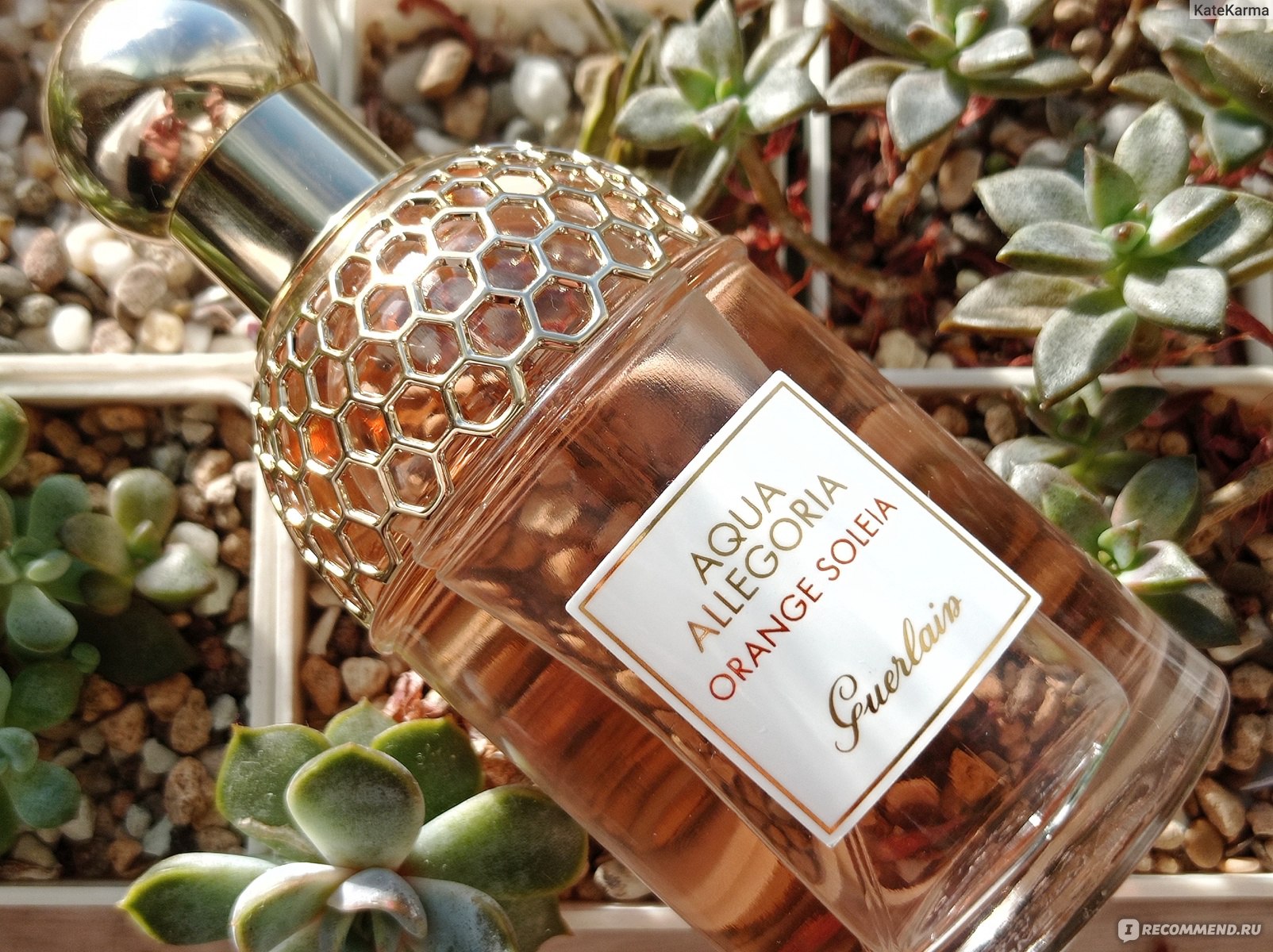 Aqua allegoria orange. Guerlain Aqua Allegoria Orange Soleia. Guerlain - Aqua Allegoria Orange Soleia (u). Orange Soleia Guerlain. Guerlain Aqua Allegoria Soleia Orange 125.