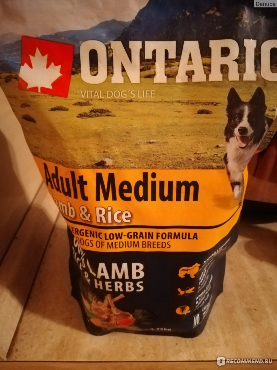 Корм для собак Ontario Ягненок рис фото