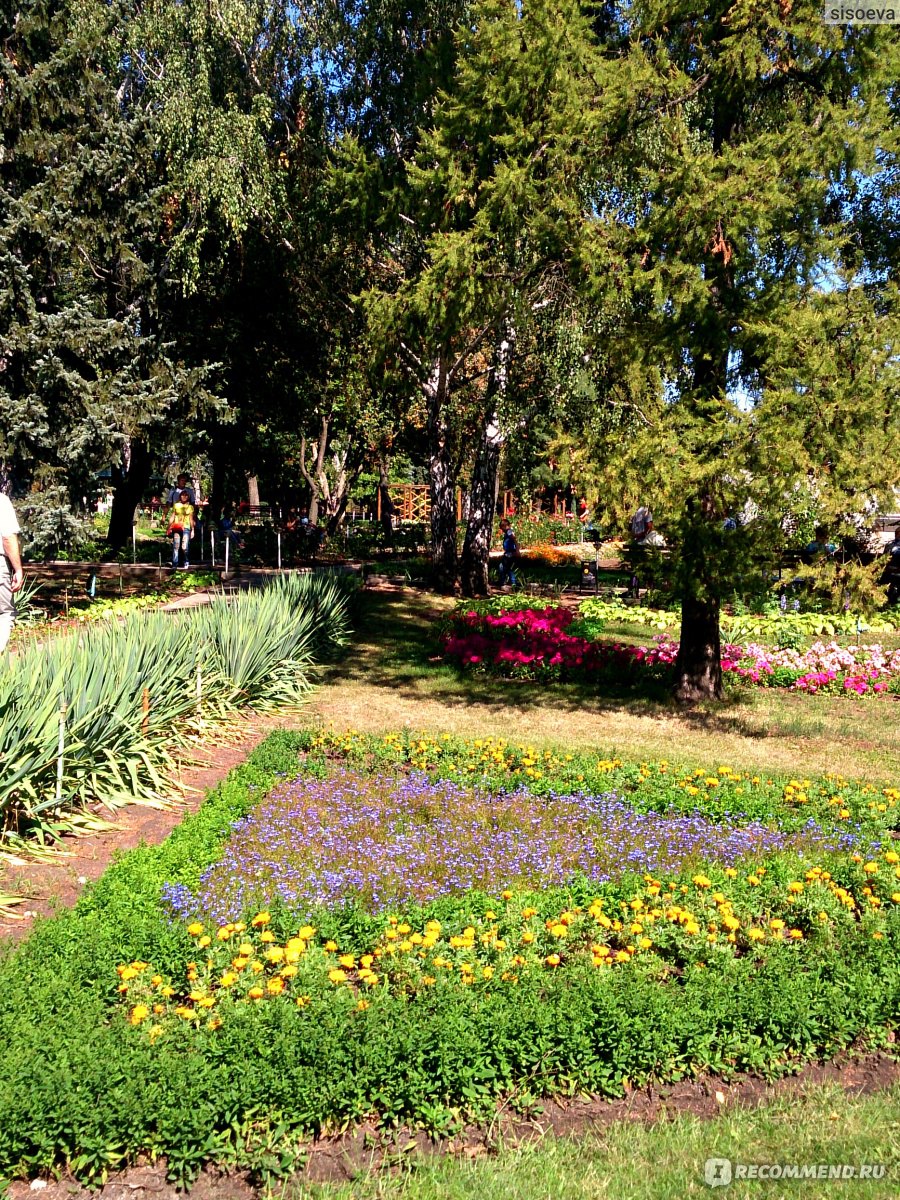 Фото донецкий ботанический сад