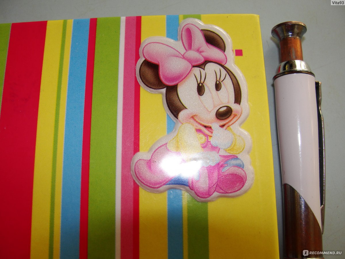 Disneyparks Minnie Mouse Autograph and Photograph Book