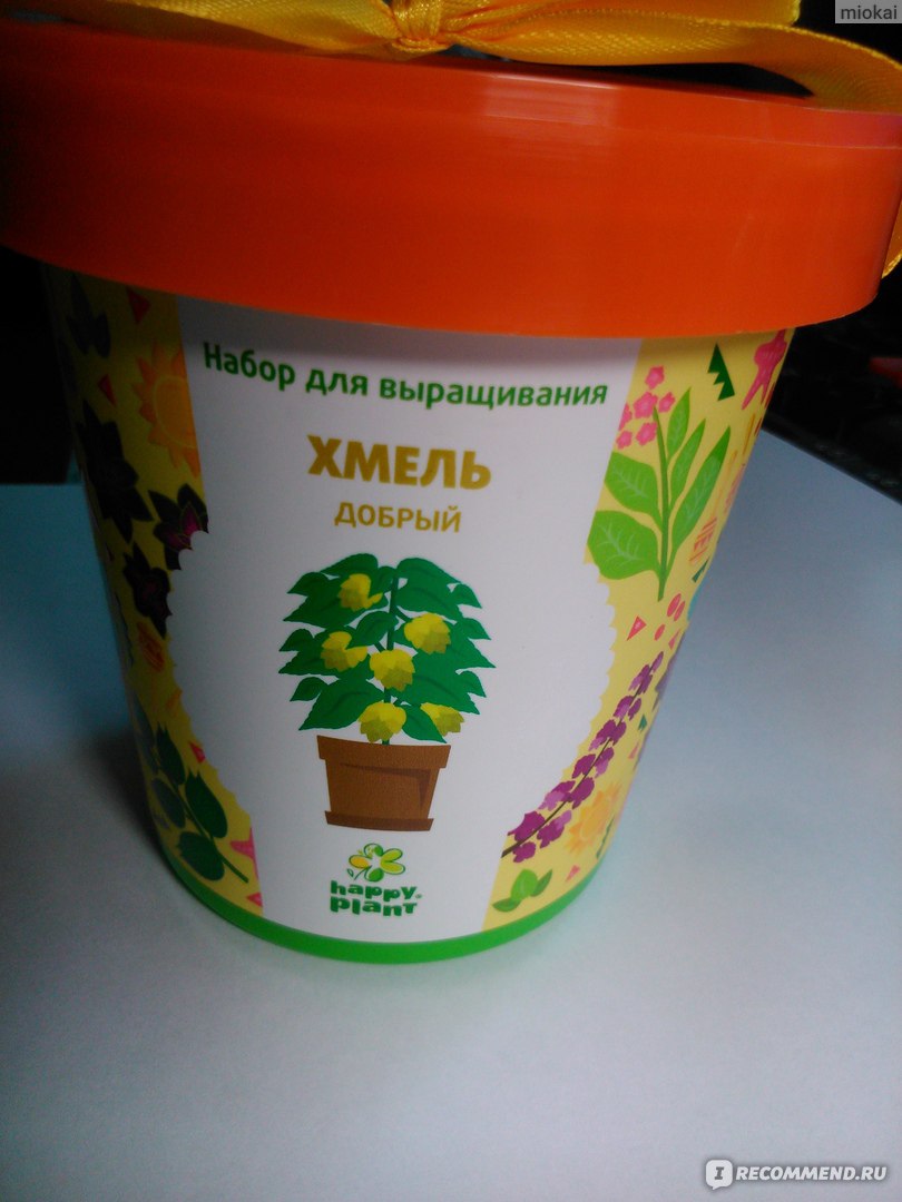 Набор для выращивания Happy Plant 