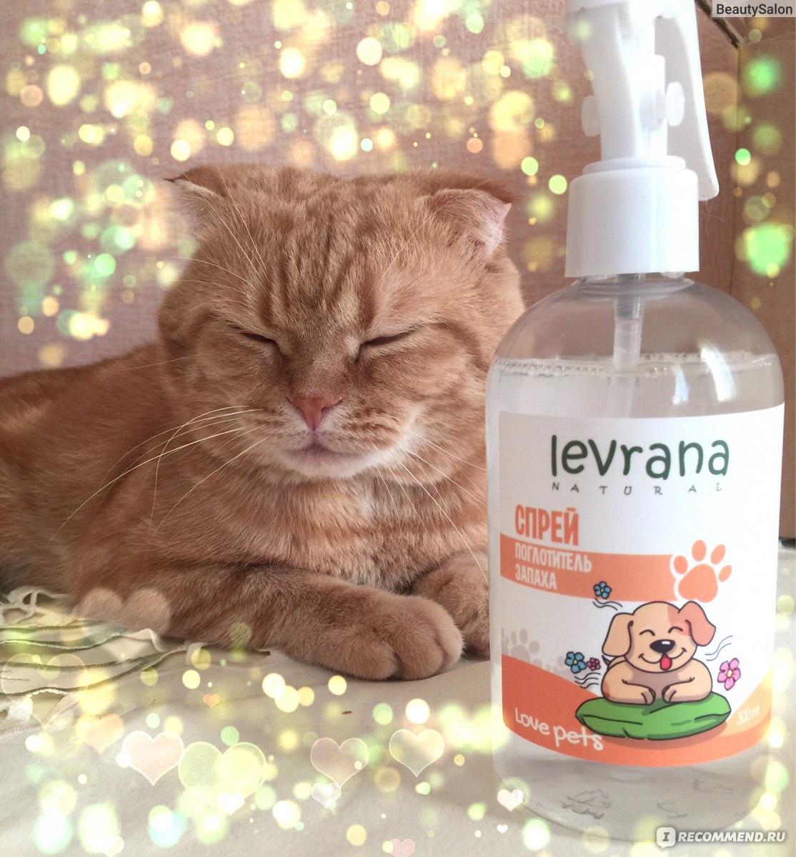 Спрей поглотитель запаха Levrana love pets - «Запах кошачьих пи- пи покинул  мой дом...Нет , я не выгнала кота! Просто нашла отличный поглотитель запаха  от Levrana » | отзывы