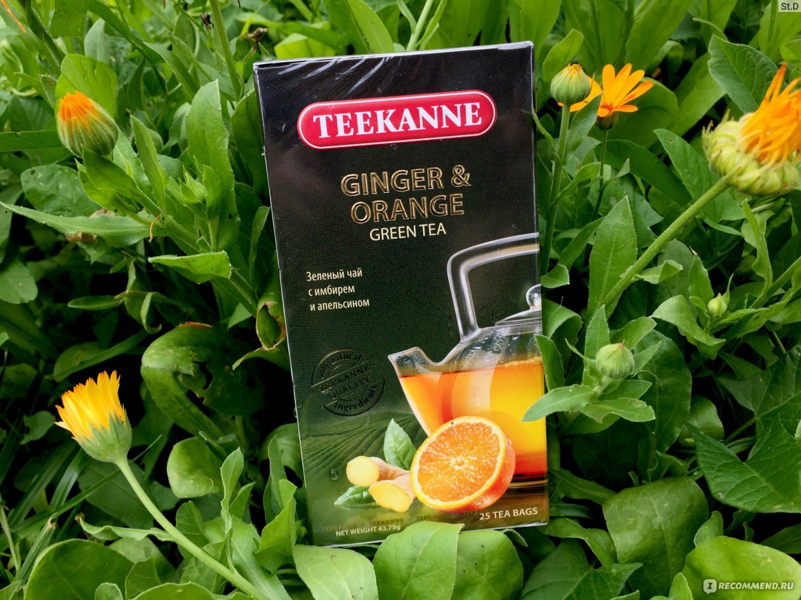 Green apelsin парфюмер. Teekanne Ginger and Orange. Teekanne Ginger&Orange Green Tea. Чай Teekanne 20*1,5г манго-Цитрон зеленый со вкусом манго и лимона. Halls мандарин имбирь.