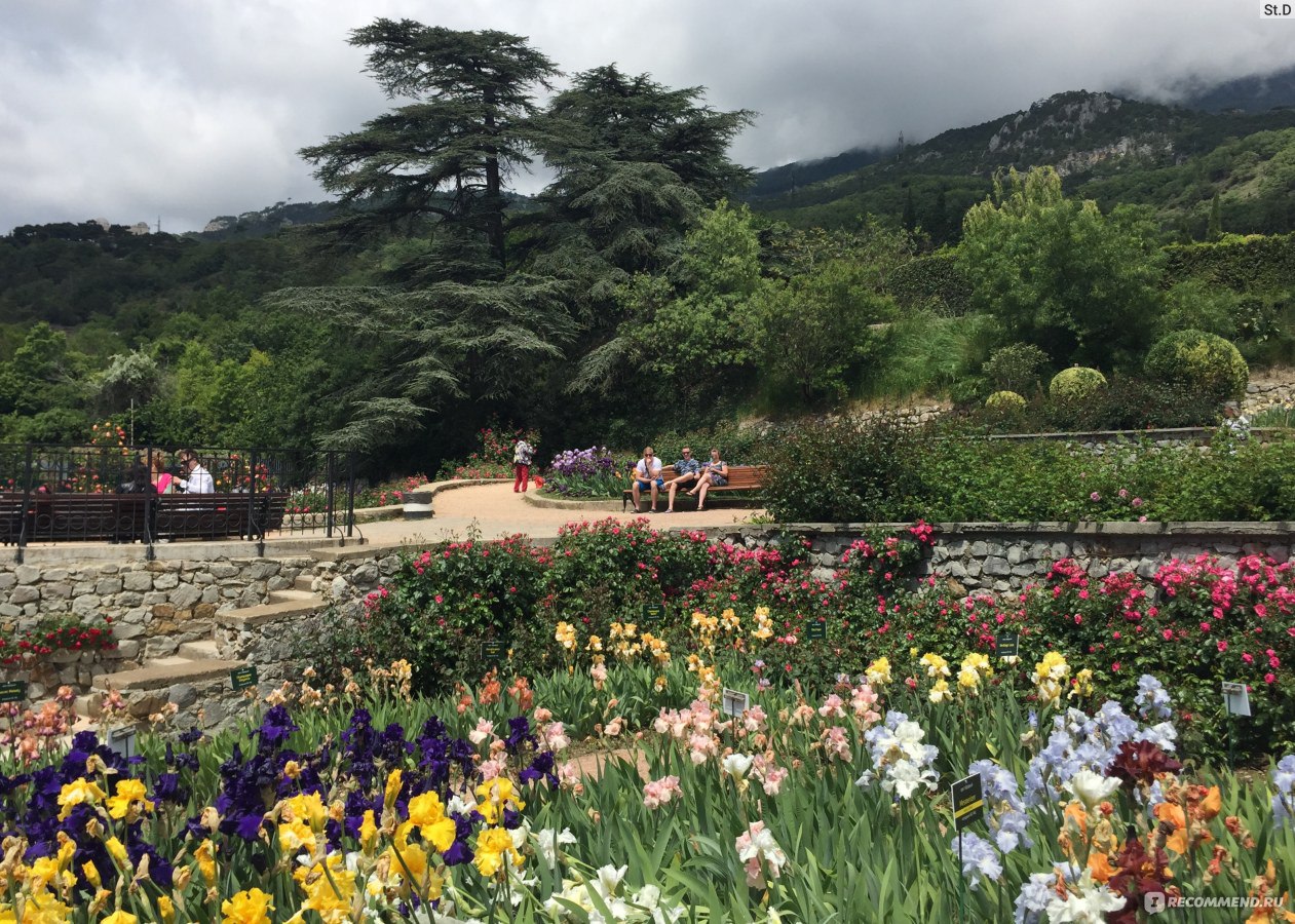 Никитский ботанический сад в крыму фото весной