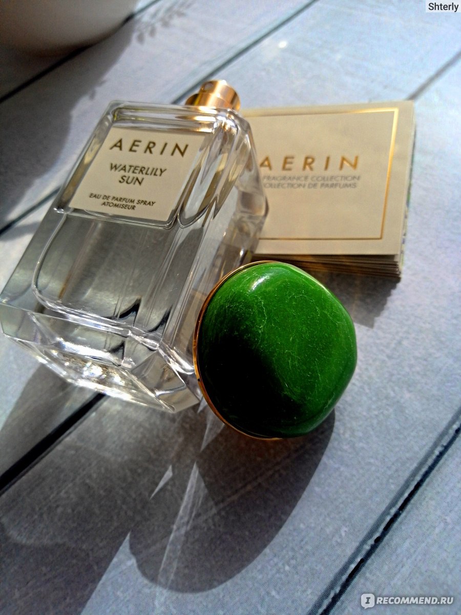 Aerin Waterlily Sun