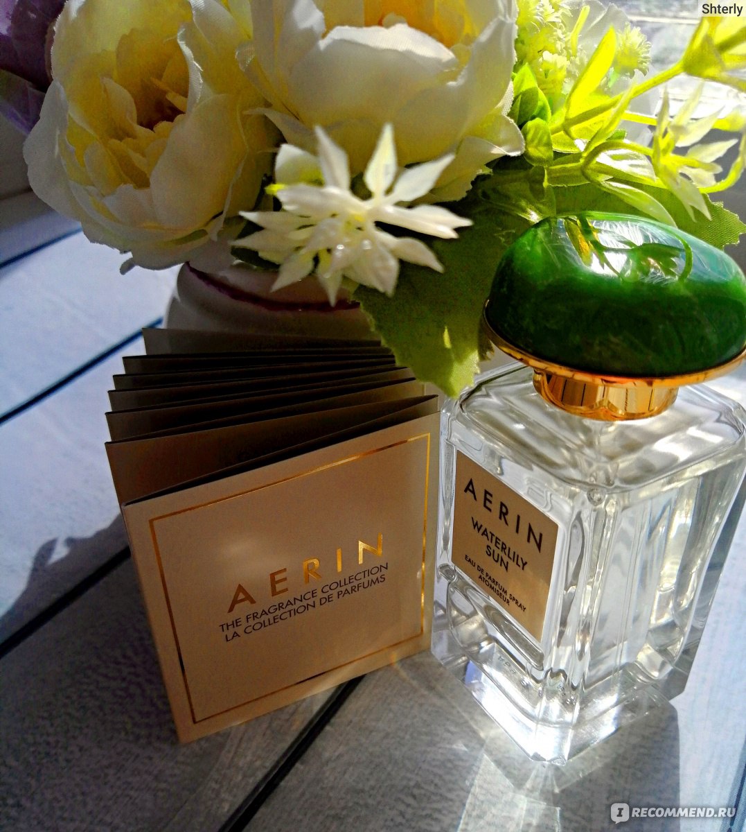 Aerin Waterlily Sun