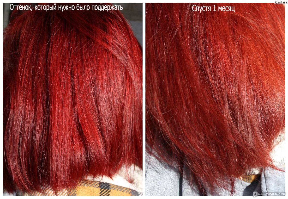 Тонирующая маска для поддержания цвета Gloris Color Of Beauty Hair Mask -  «Оттенок 