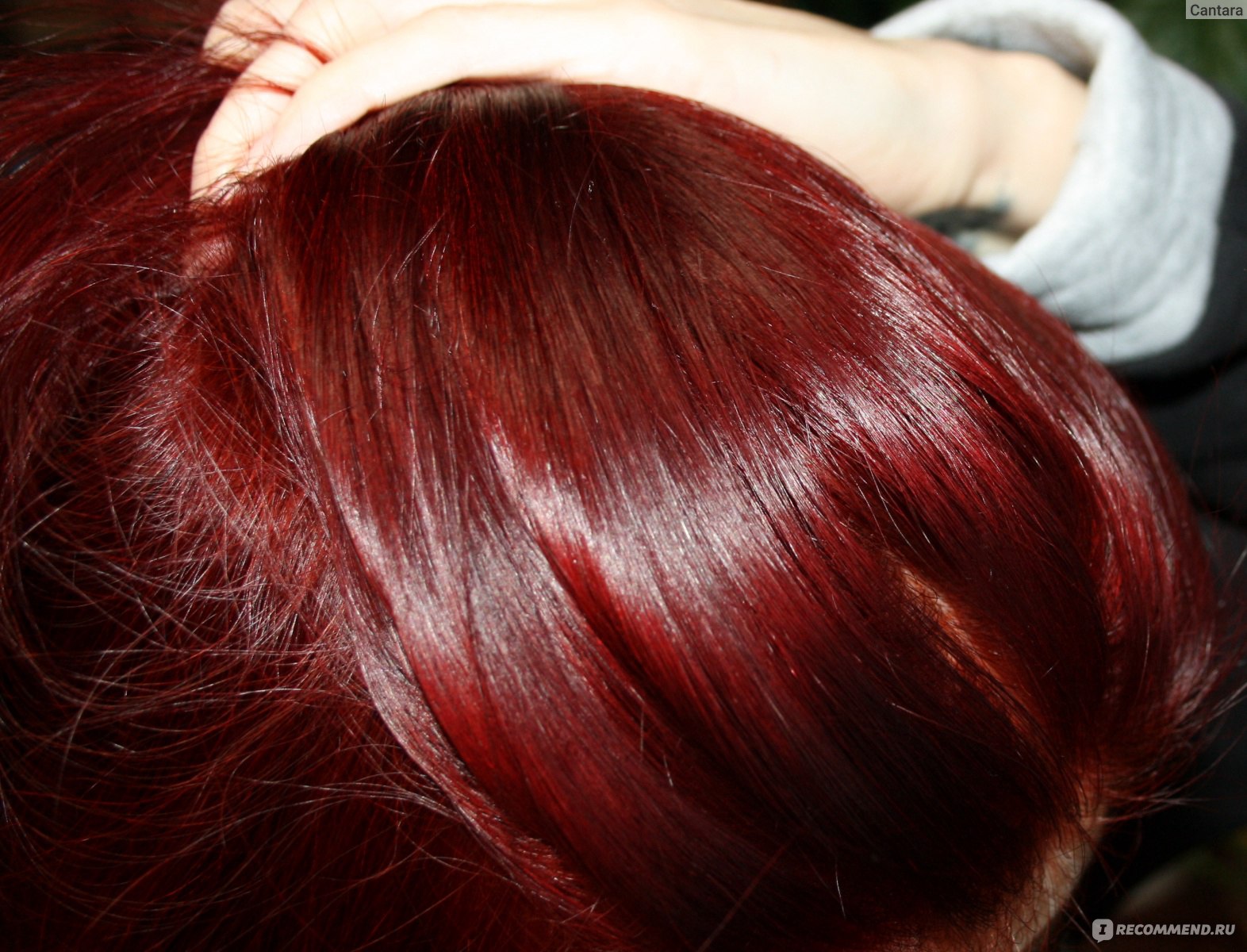 Краска для волос веллатон красная вишня