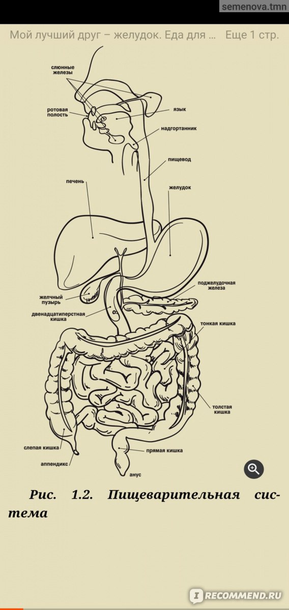 Книга мой лучший друг желудок