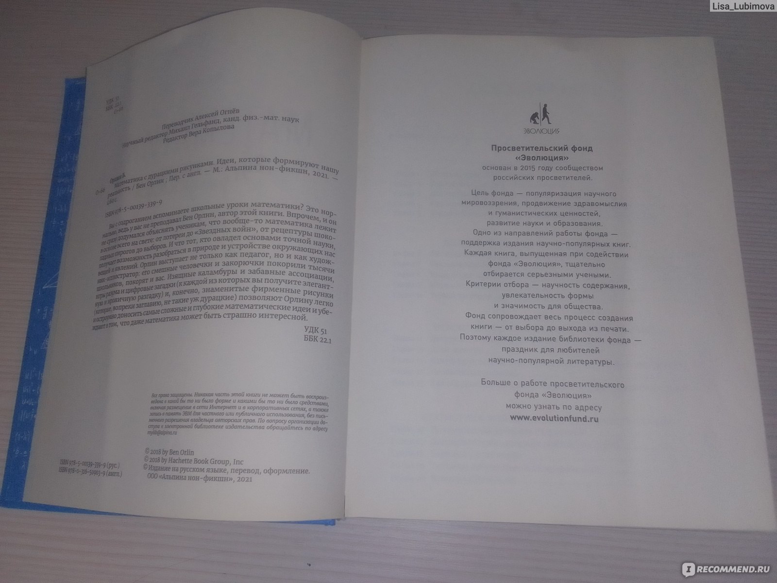 Математика с дурацкими рисунками. Бен Орлин - «Вы точно влюбитесь в царицу  наук» | отзывы