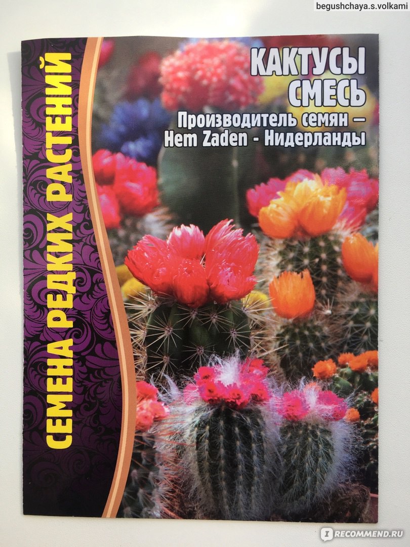 Семена Григорьев Кактус смесь сортов - «Мой первый опыт выращивания  кактусов из семян🌵» | отзывы