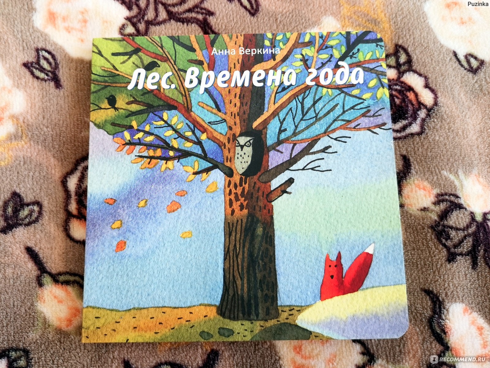 Лес. Времена года. Веркина Анна - «Познавательная книга для любознательных  малышей. Изучаем времена года, учим месяцы и узнаем новых животных с  красочной книгой для детей 