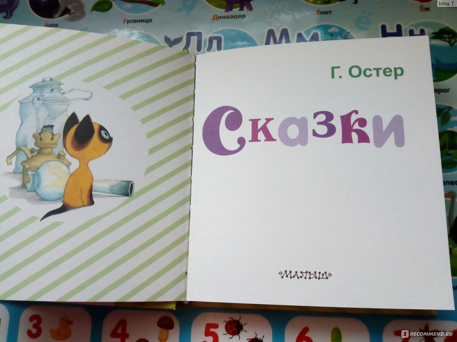 Сказки. Котенок по имени Гав. Григорий Остер - «МИНУТКА ПОЗИТИВА! Смешные  фразы из книги. @ Каждый вечер у нас ГОСТИ: котенок Гав, песик Пиф и 38  попугаев. Григорий Остер, котенок Гав -