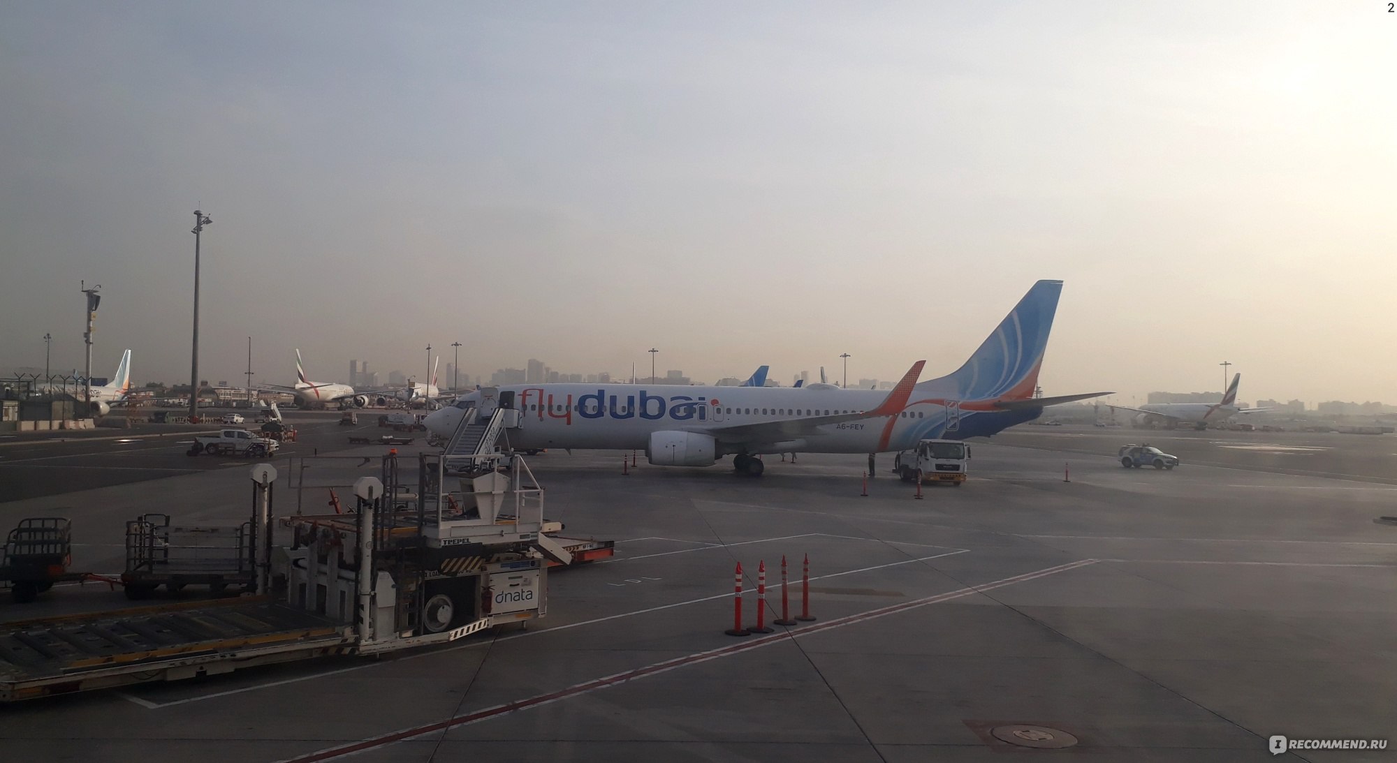 Авиакомпания Flydubai (Флайдубай) - «Бюджетный перевозчик но вроде  беспроблемный. Про покупку билетов, места у окошка и странности с бортовым  питанием.» | отзывы