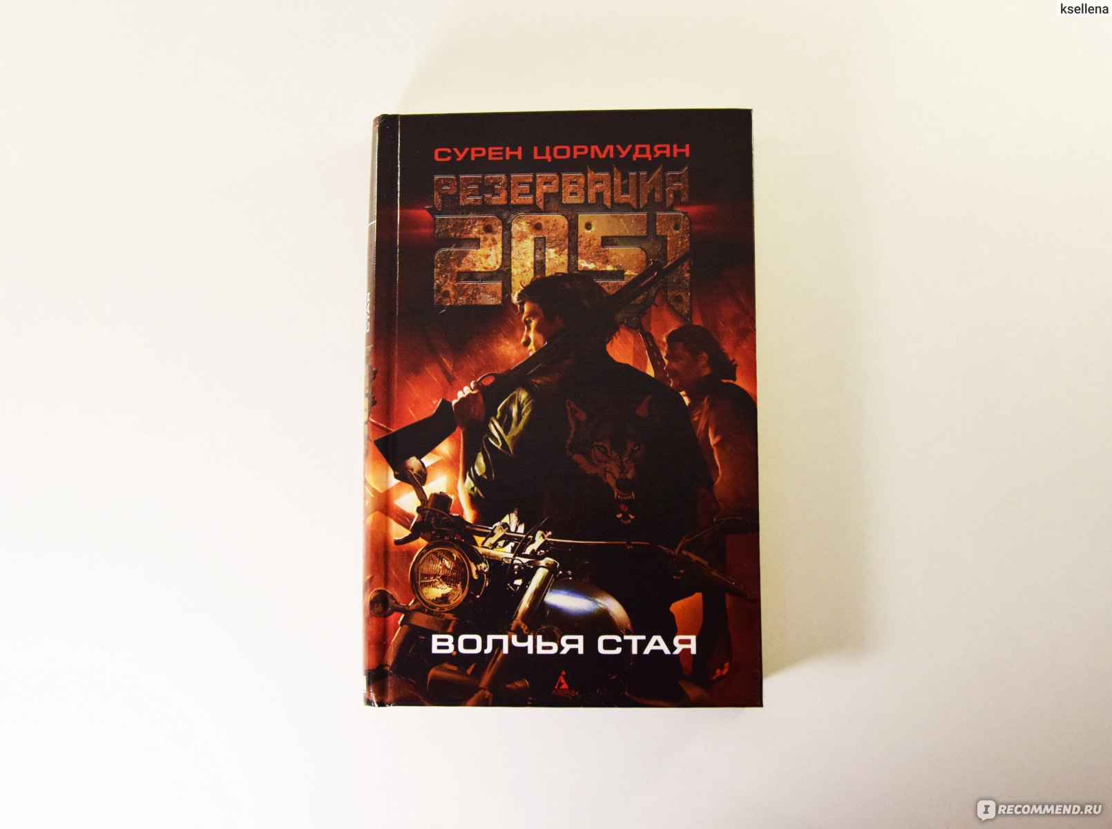 Резервация 2051. Волчья стая. Сурен Цормудян - «Постапокалипсис. Великая  смута. Городов больше нет, есть Оазисы и Чертоги с аномалиями. 