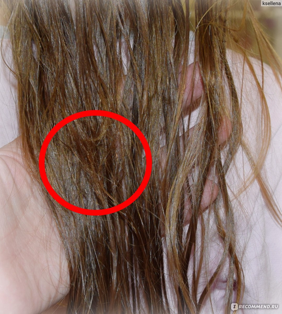 Почему выпадают волосы после мытья. Норма выпадения волос. Норма выпадения волос после мытья головы. Расчесывать волосы. Норма выпавших волос при мытье головы у женщин.