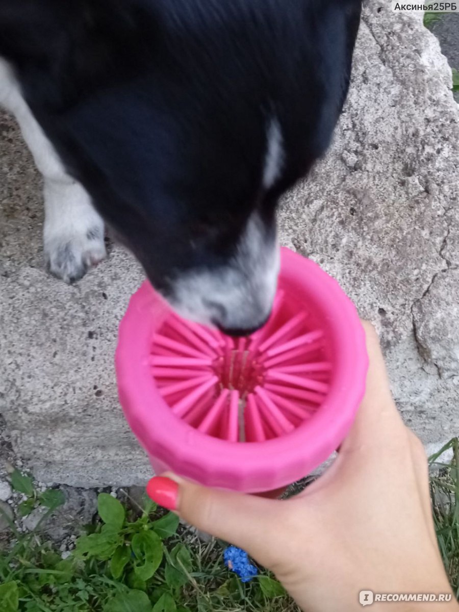 Лапомойка Pet Animal wash foot cup - «Лапомойка для собак. Собака не дает  мыть лапы в лапомойке» | отзывы