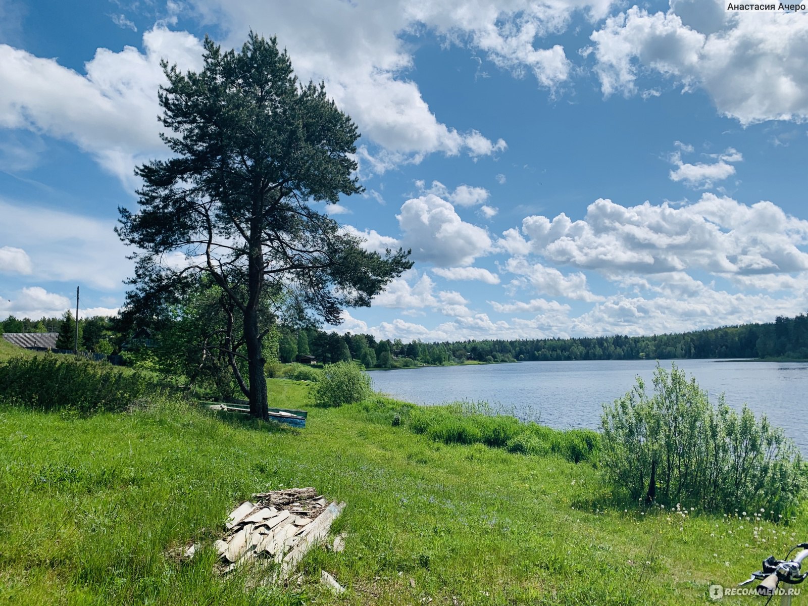 Андреаполь, Тверская область - «Тихий зеленый городок» | отзывы