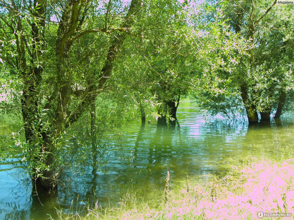 Озеро в Новоульяновке Бахчисарайского района фото