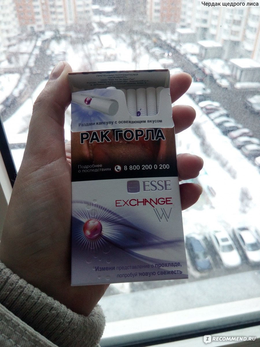 Сигареты esse Exchange компакт