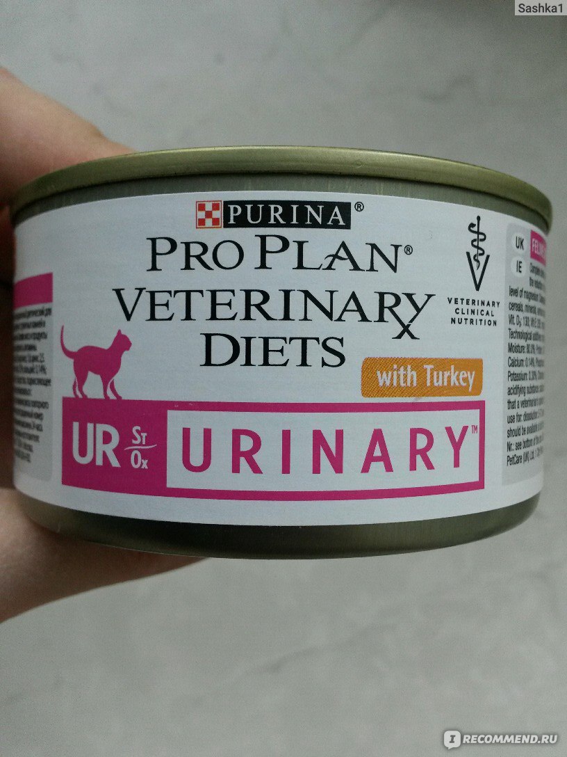 Pro plan veterinary diets ur. Корм для кошек Pro Plan Veterinary Diets Feline ur Urinary with Turkey canned (0.195 кг) 24 шт.. Корм д/кошек Veterinary Diets ur St/Ox Urinary индейка 195г ж/б Pro Plan Россия. Purina Pro Plan Urinary индейка. От поноса для котят лекарство Пурина.