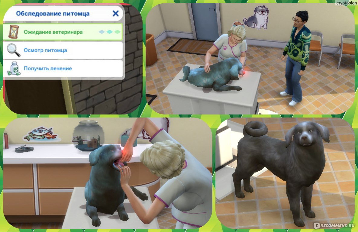 The Sims 4 Кошки и собаки - «Долгожданное дополнение Симс 4 собаки и кошки  🐶🐱 Обзор с красивыми скриншотами из игры. А также лисы и еноты в Sims 4»  | отзывы