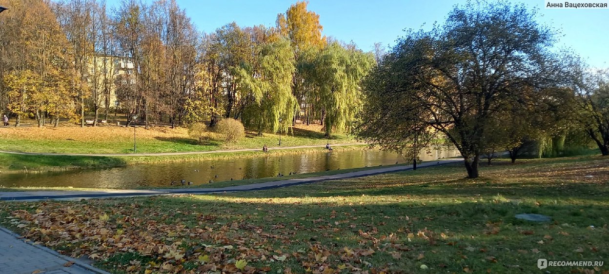 Парк 1100 летия смоленска фото