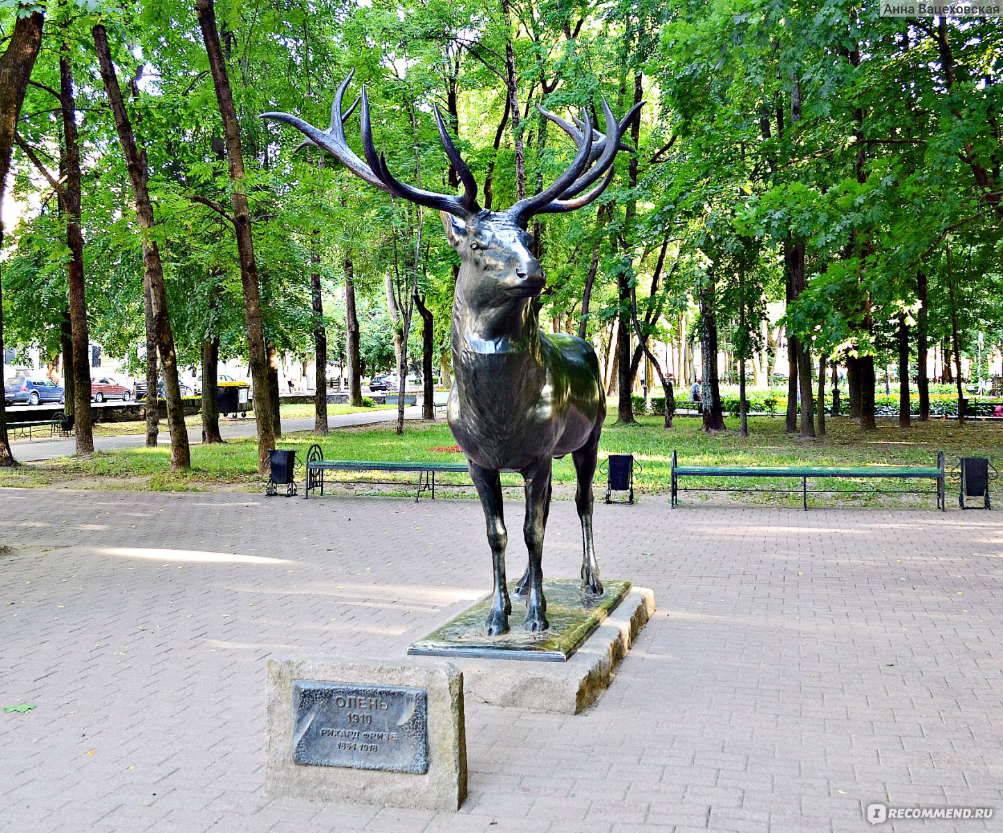 смоленск парк блонье