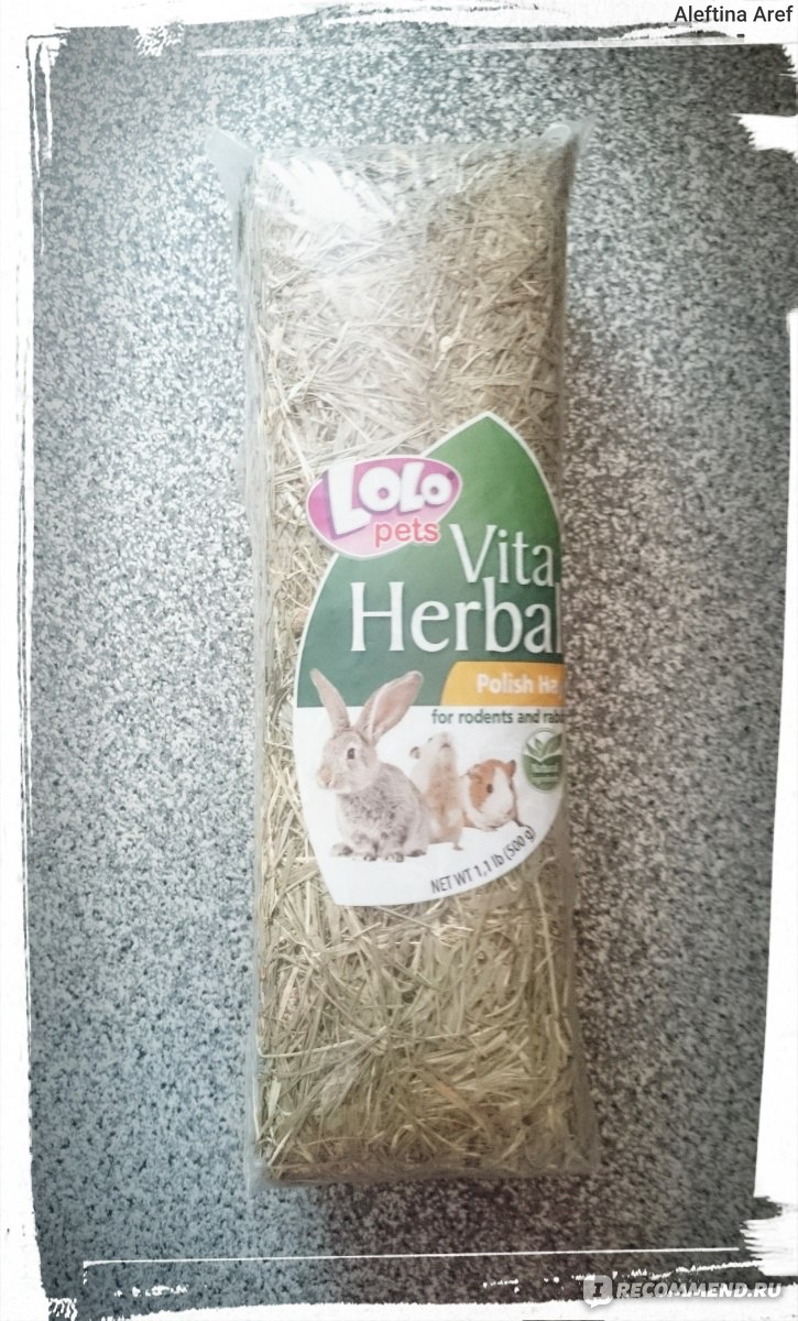 Сено LoLo Pets Vita Herbal - «??? Единственное зеленое сено, которое  более-менее соответствует качеству, но все равно цена завышена. Кузя круги  наматывал вокруг пачки, лишь бы я быстрее ему его дала. +