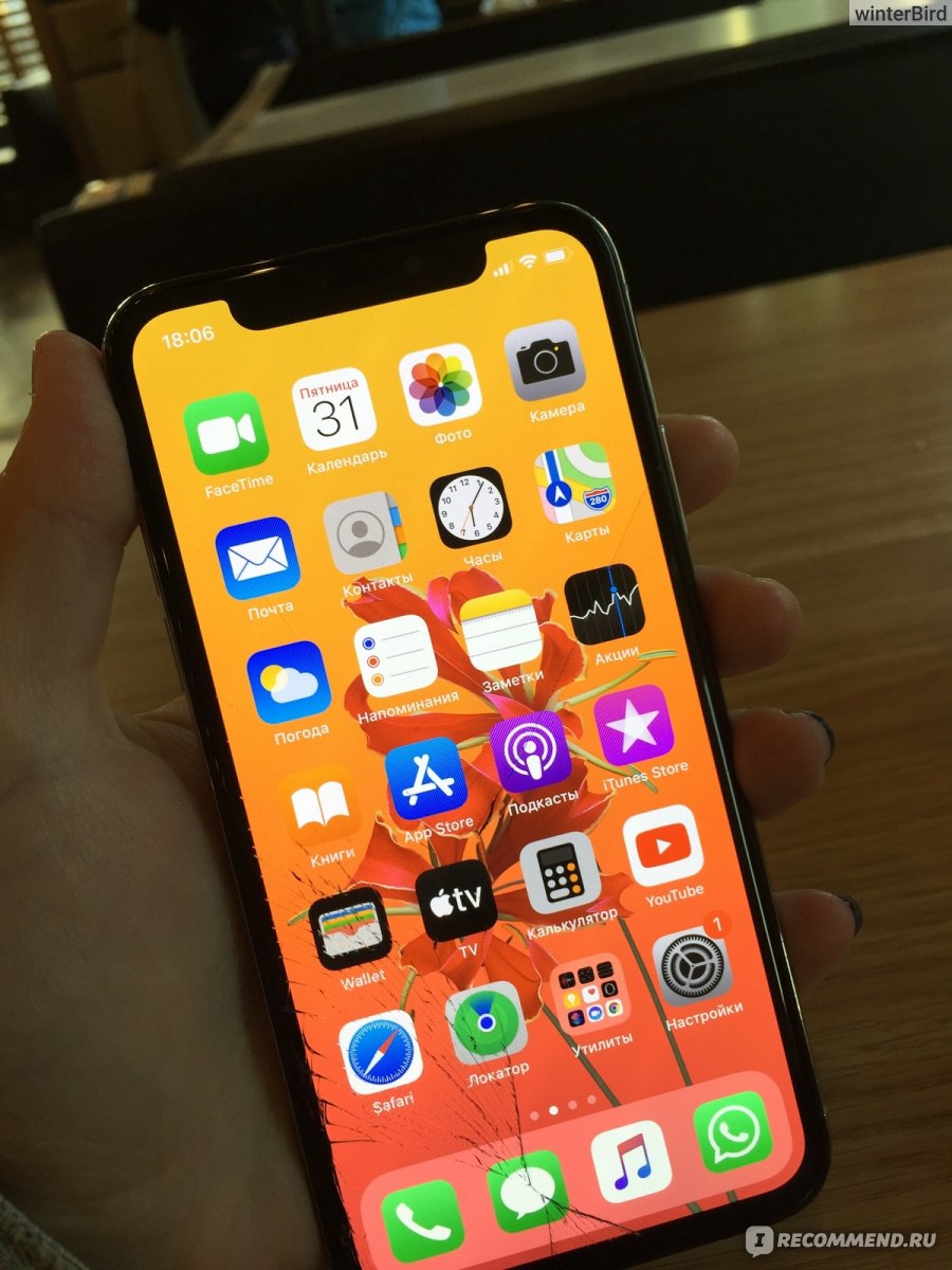 Смартфон Apple iPhone X - «Десяточка - один из самых удачных телефонов от  Apple - размер, стиль, дизайн, управление, качество фото, функционал » |  отзывы