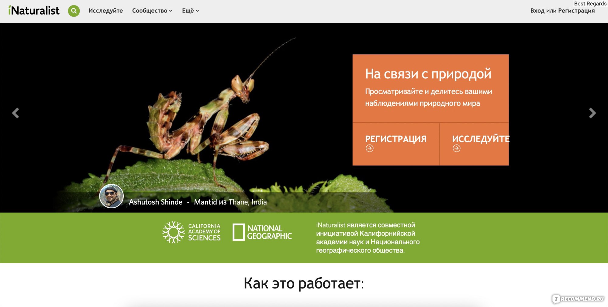 Сайт iNaturalist.org - «Что за птичку/рыбку/цветочек вы встретили? 