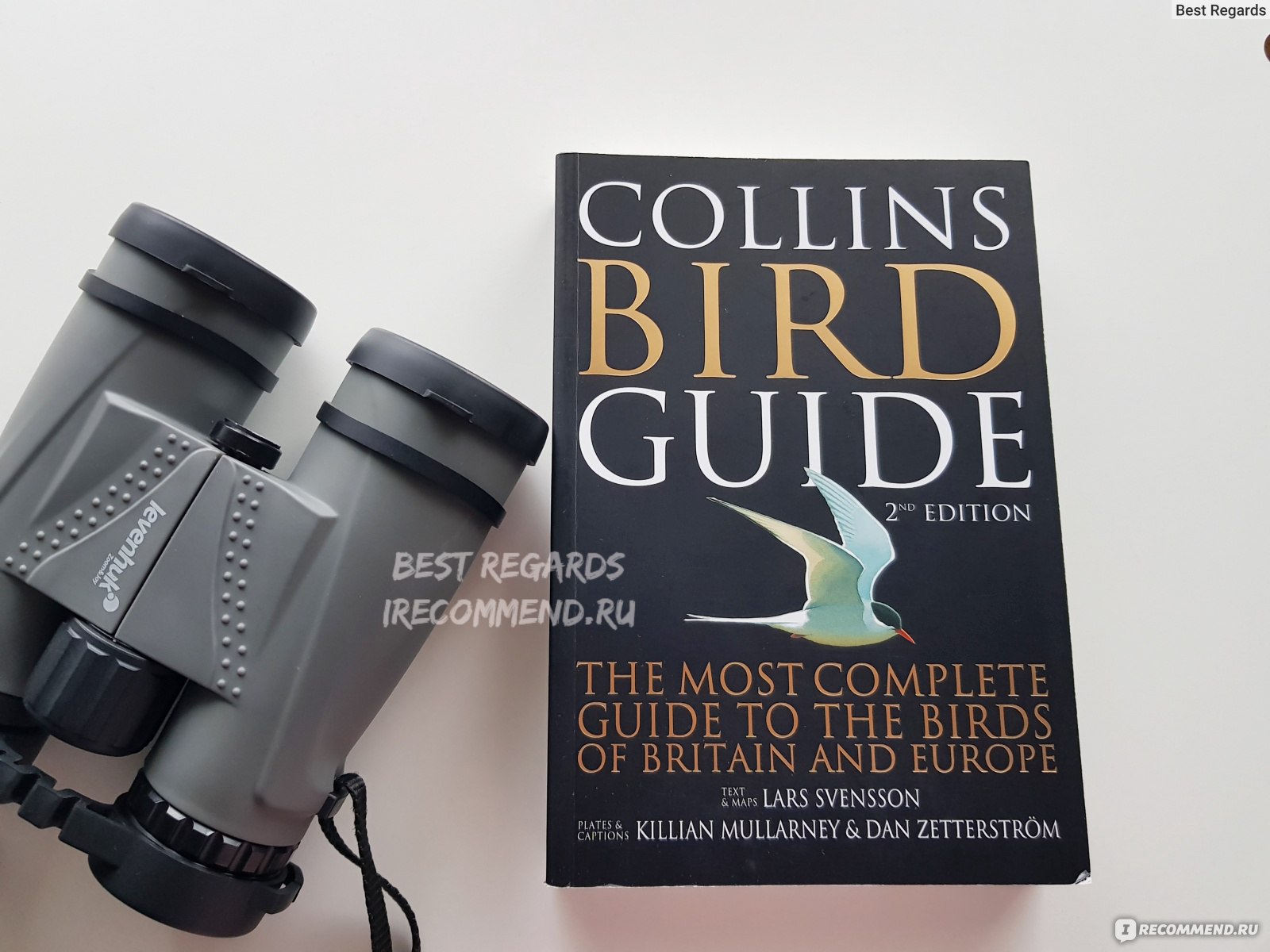 Collins Bird Guide, 2nd edition. Lars Svensson, Killian Mullarney, Dan  Zetterstrom, Peter J. Grant - «Показываю птиц и рассказываю, как  пользоваться этим определителем и как сделать фото так, чтобы вы или другие