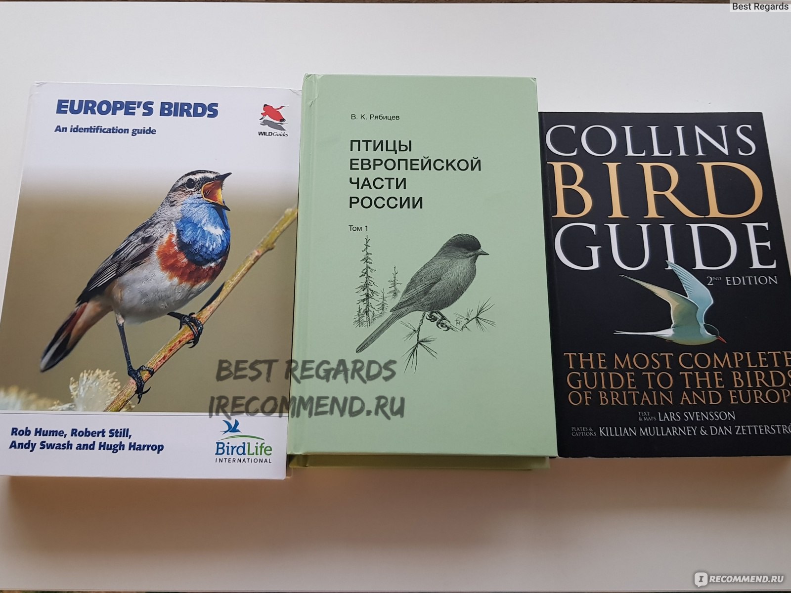 Collins Bird Guide, 2nd edition. Lars Svensson, Killian Mullarney, Dan  Zetterstrom, Peter J. Grant - «Показываю птиц и рассказываю, как  пользоваться этим определителем и как сделать фото так, чтобы вы или другие