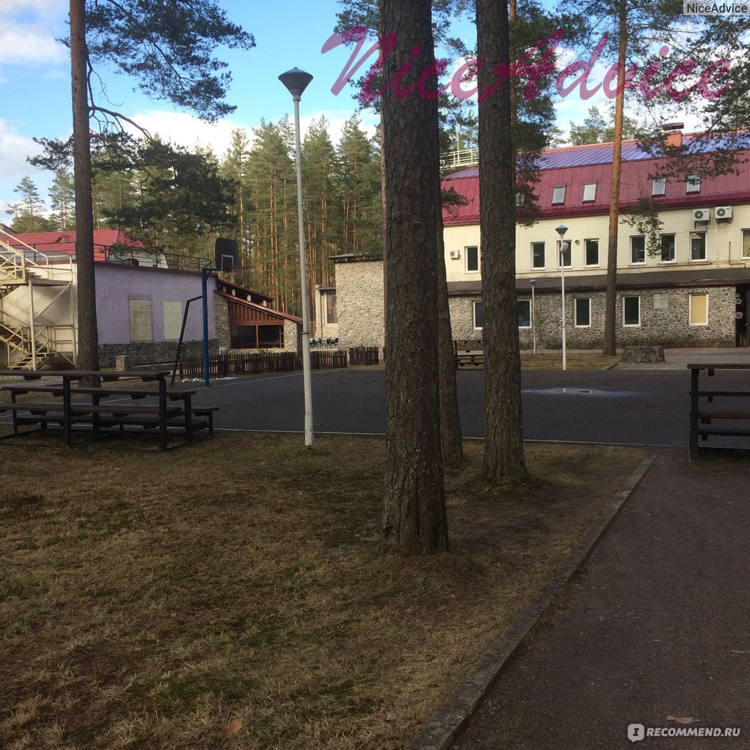 Загородный отель Raivola, Россия, Ленинградская область, Выборгский район,  пос. Рощино - «Raivola - отдых в Ленинградской области. Природа, питание,  развлечения, обслуживание, цены, животные.» | отзывы