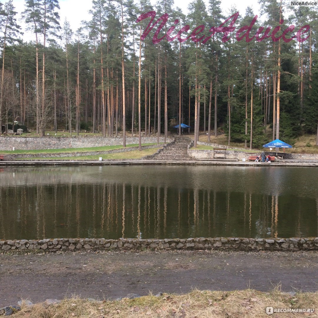 Загородный отель Raivola, Россия, Ленинградская область, Выборгский район,  пос. Рощино - «Raivola - отдых в Ленинградской области. Природа, питание,  развлечения, обслуживание, цены, животные.» | отзывы