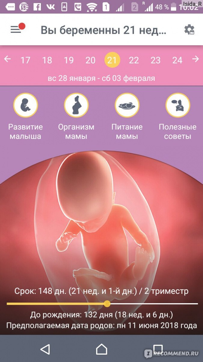 Компьютерная программа Календарь беременности Mobile Dimension LLC -  «Сейчас я знаю все о моем пузожителе» | отзывы