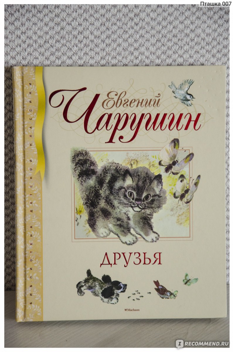 Друзья. Евгений Чарушин - «Вот кто-нибудь мечтал в детстве иметь медвежат  дома? А я мечтала! Причина - рассказы Чарушина. :)» | отзывы