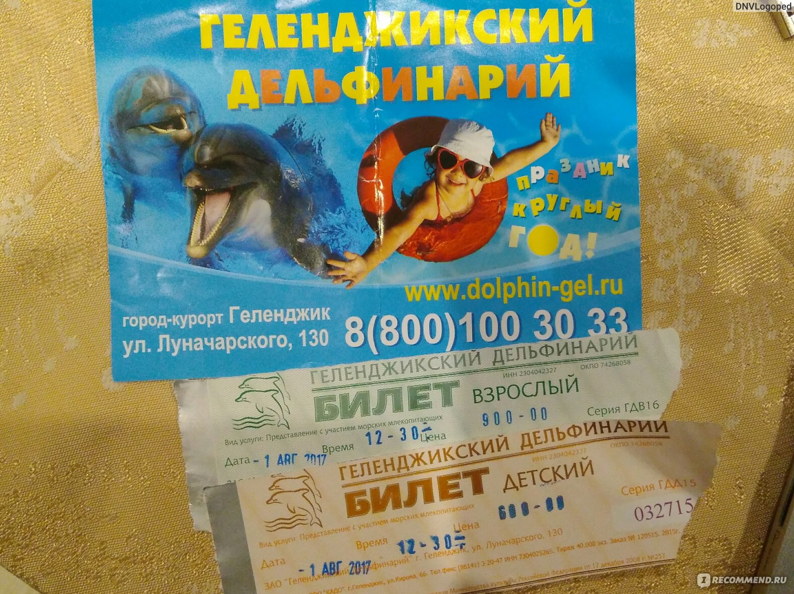Билеты дельфинарий владивосток