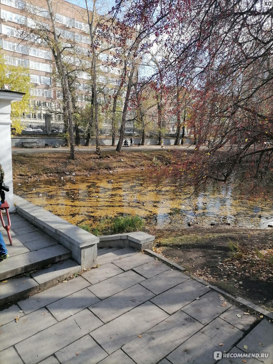 Харитоновский сад, Екатеринбург - «Симпатичное место в центре  Екатеринбурга! Корм для уток-обязателен=)» | отзывы